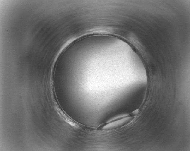 X0000081401240200701182250
