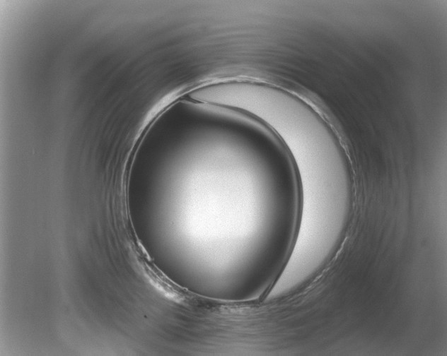 X0000081401242200701182250