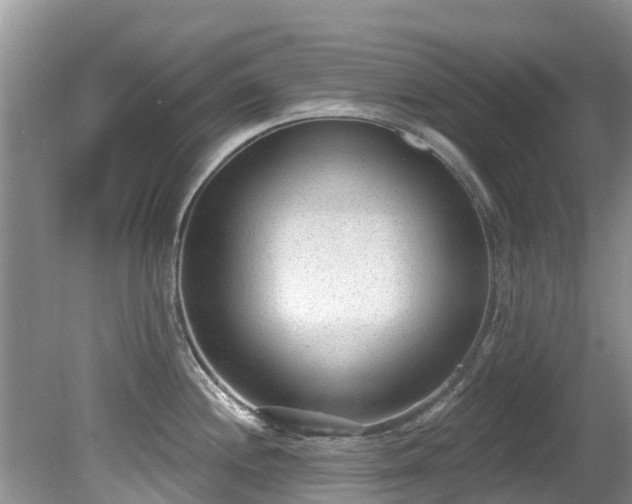 X0000081401244200701182250