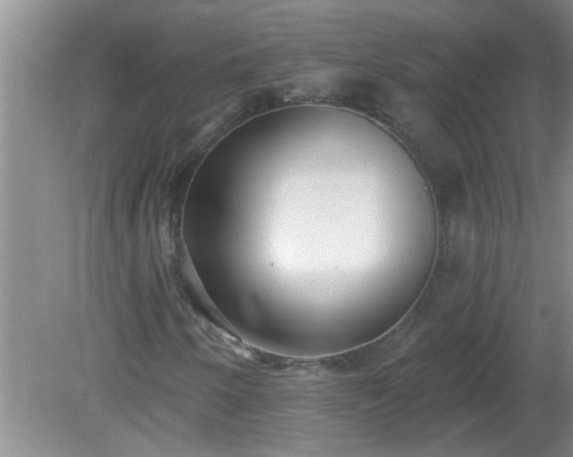 X0000081401250200701182249