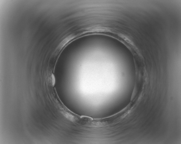 X0000081401273200701182249