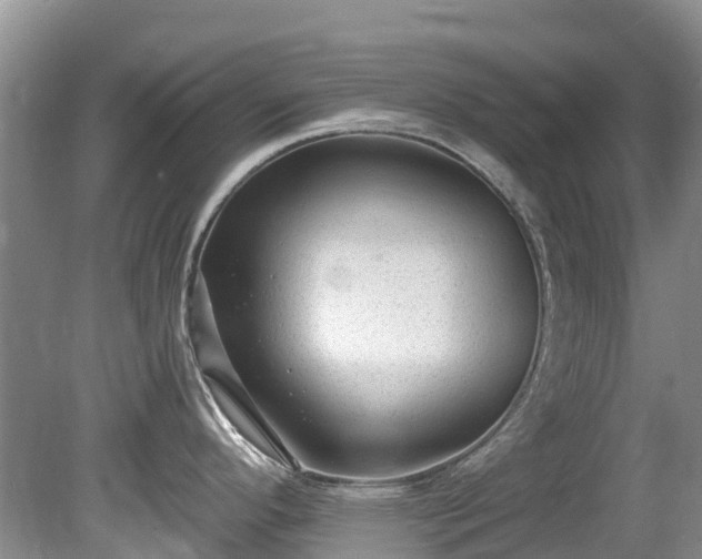 X0000081401296200701182248