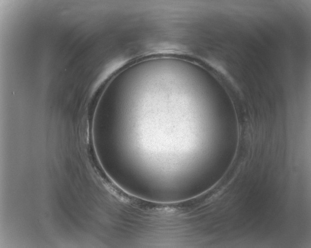 X0000081401317200701182248