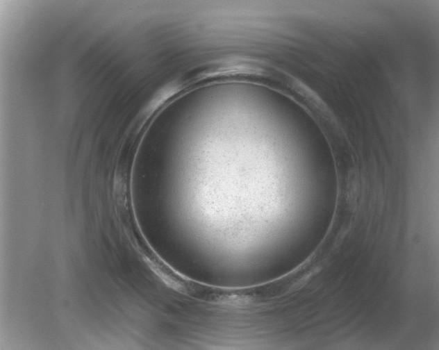 X0000081401321200701182248