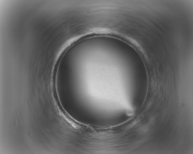 X0000081401327200701182248