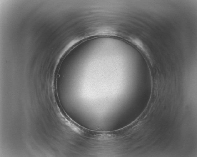 X0000081401331200701182248