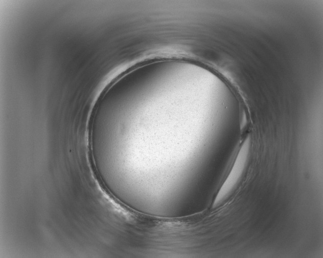 X0000081401335200701182248
