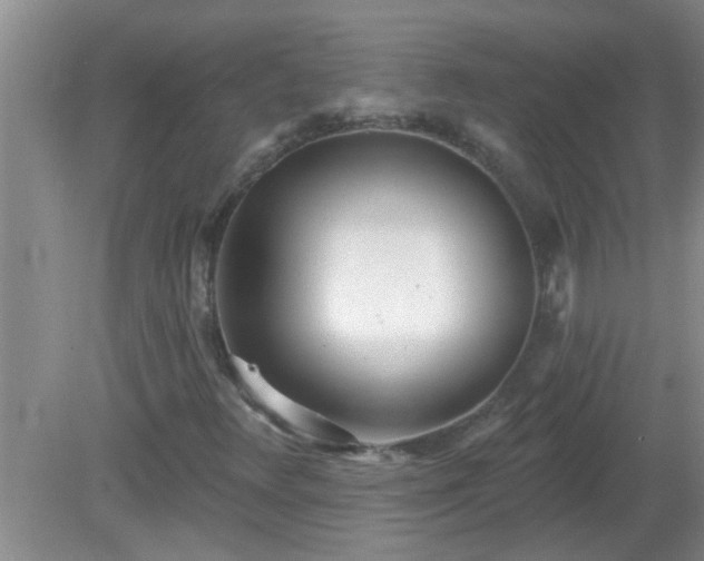 X0000081401348200701182247