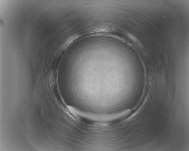 X0000081401353200701182247