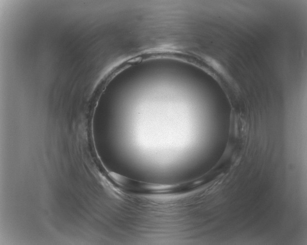 X0000081401356200701182247