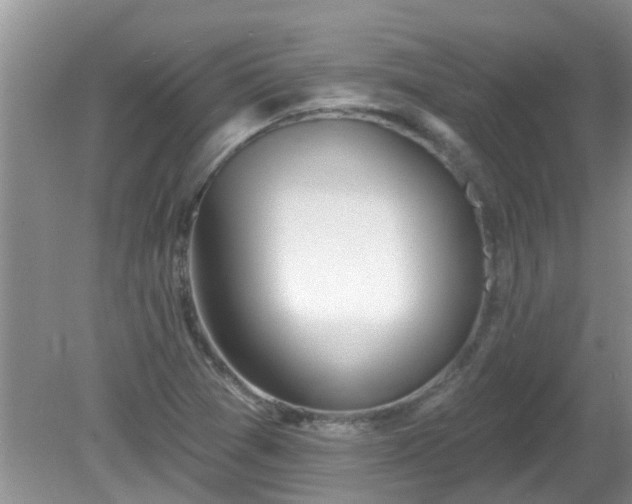 X0000081401361200701182247