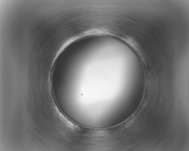 X0000081401382200701182247