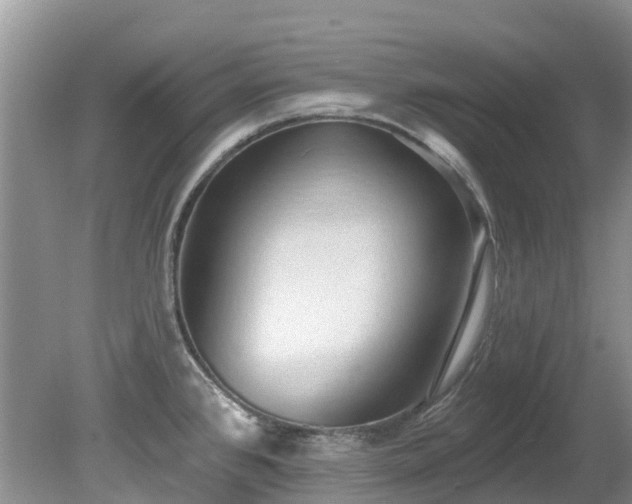 X0000081401384200701182247