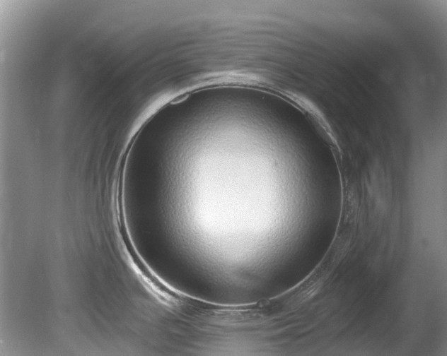 X0000081401391200701182247