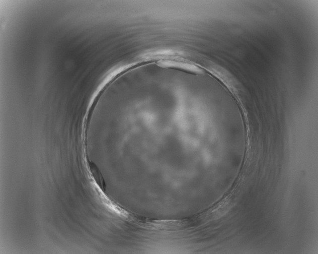 X0000081401392200701182247