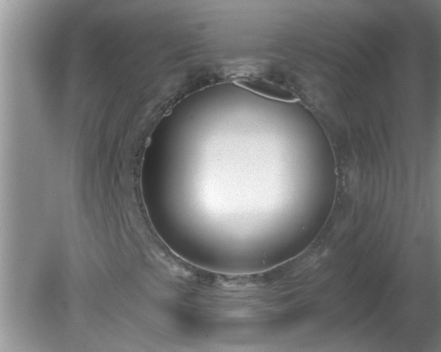 X0000081401393200701182246