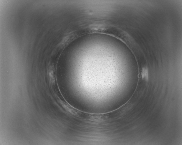 X0000081401396200701182246