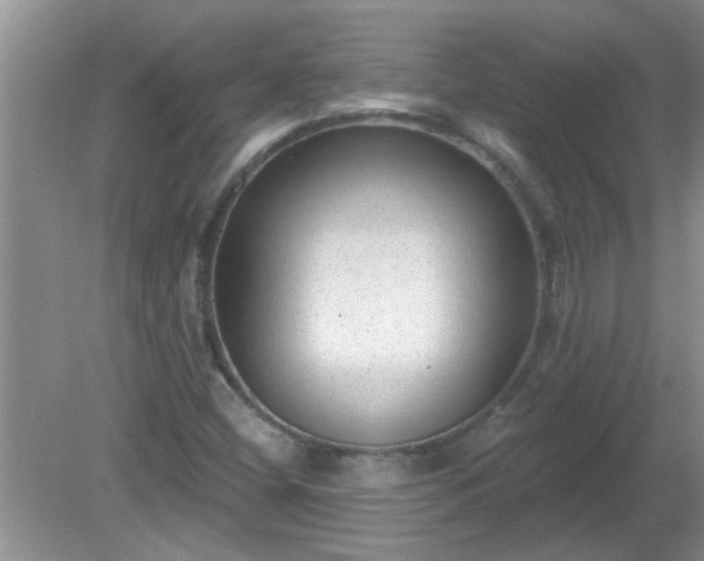 X0000081401404200701182246