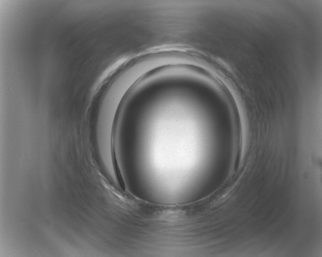 X0000081401406200701182246