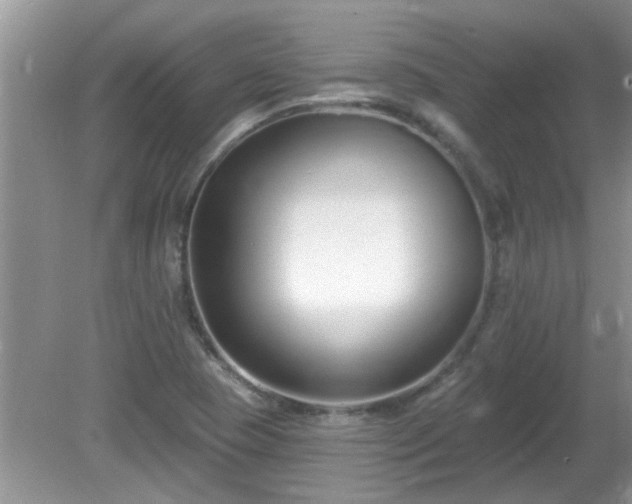 X0000081401409200701182246