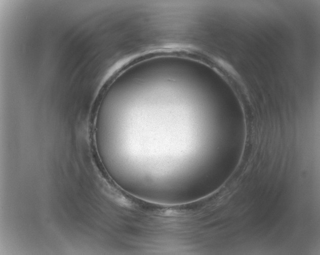 X0000081401412200701182246