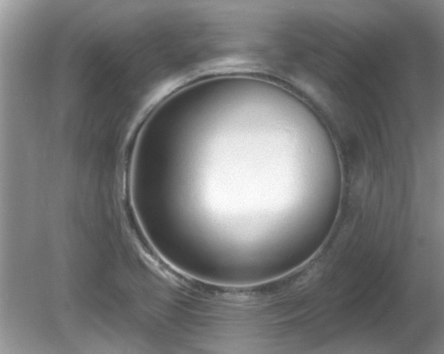 X0000081401413200701182246