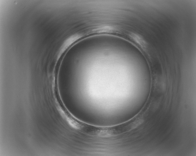 X0000081401418200701182246