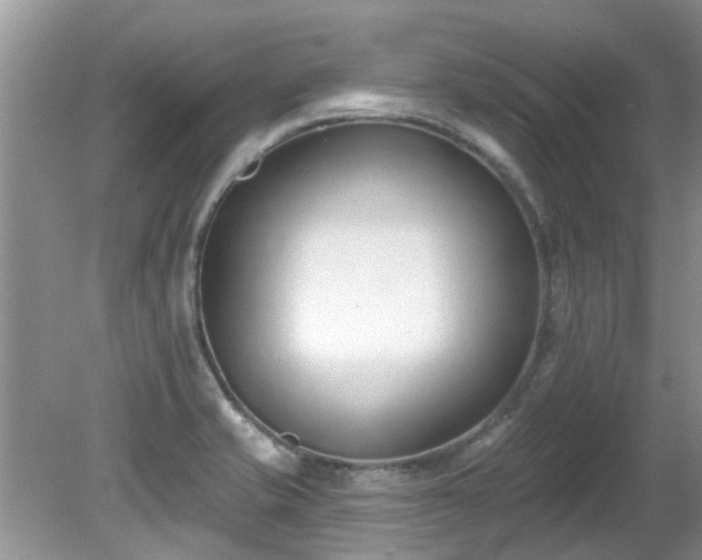 X0000081401421200701182246