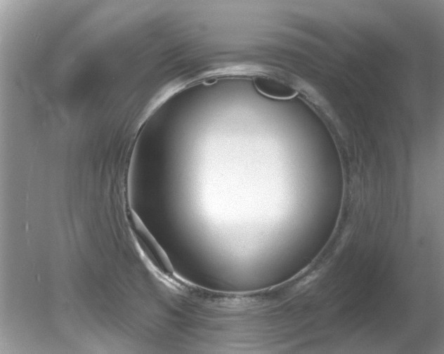 X0000081401425200701182246