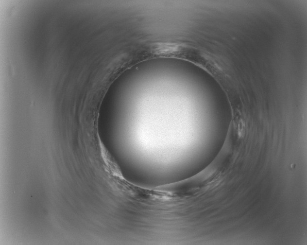 X0000081401441200701182246
