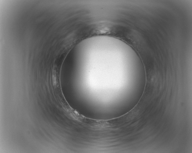 X0000081401442200701182246