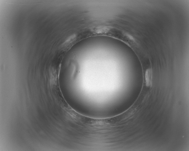 X0000081401443200701182246