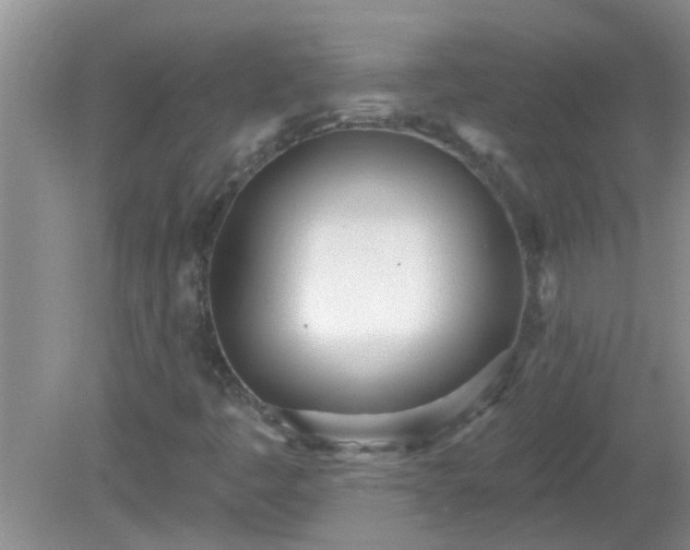 X0000081401445200701182246