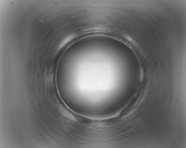X0000081401450200701182246