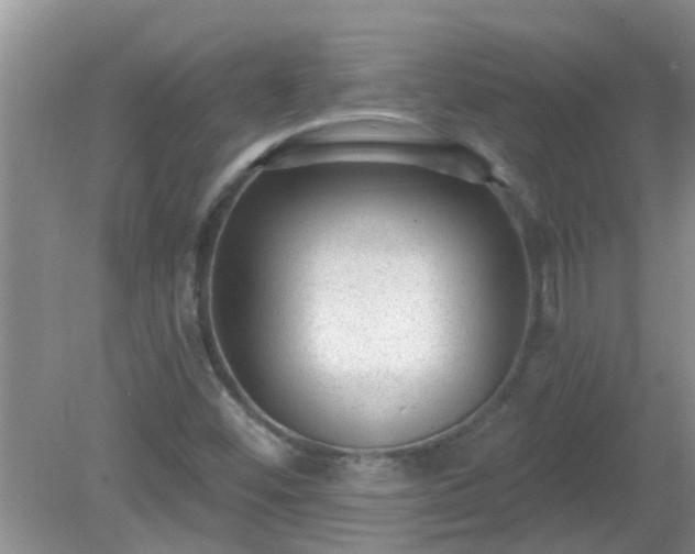 X0000081401452200701182246