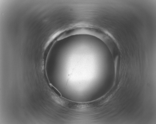 X0000081401461200701182245