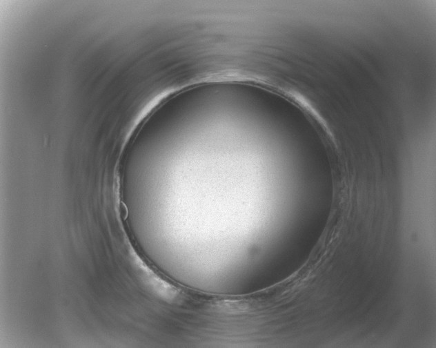 X0000081401476200701182245