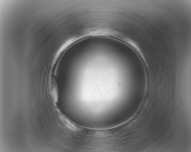 X0000081401480200701182245