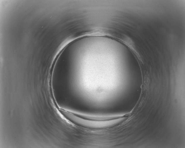 X0000081401484200701182245