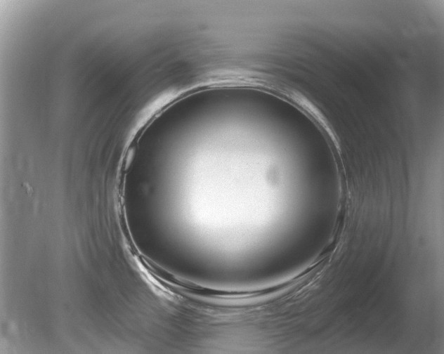 X0000081401485200701182245