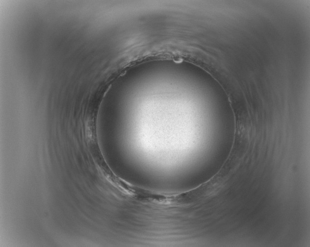 X0000081401490200701182244