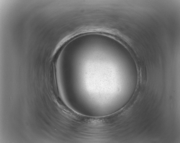 X0000081401501200701182244