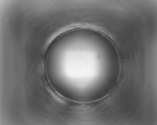 X0000081401503200701182244