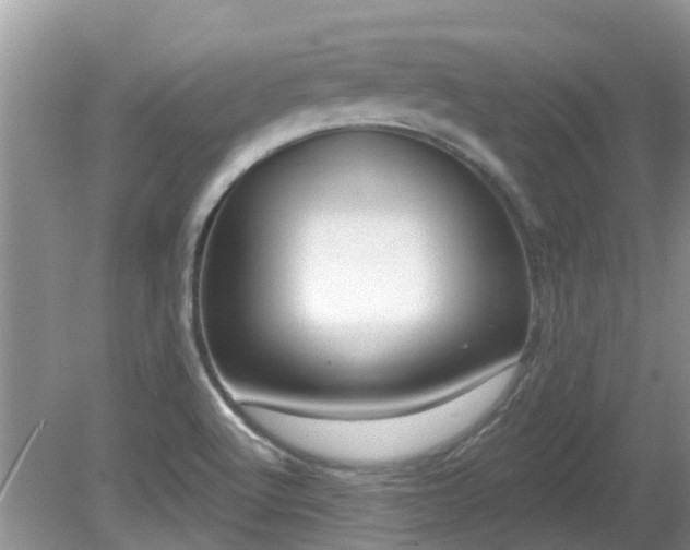 X0000081401512200701182245