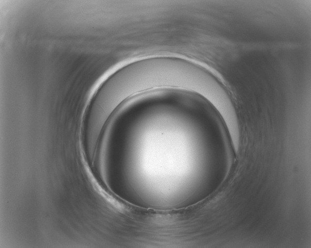 X0000081401518200701182245