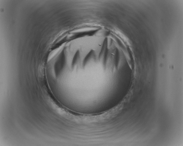 X0000081400009200701252141