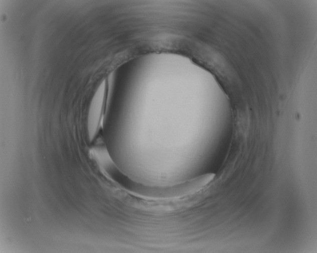 X0000081400029200701252141