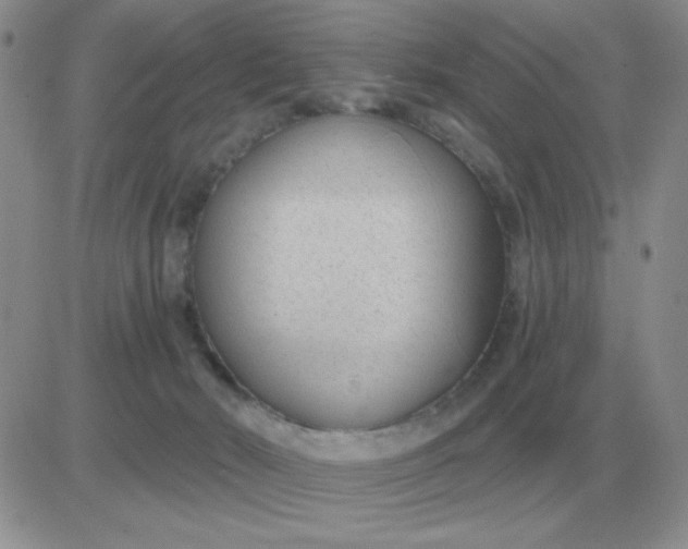 X0000081400030200701252141