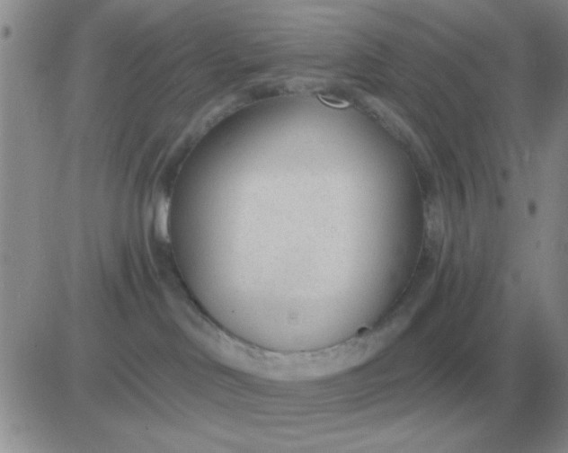 X0000081400046200701252140
