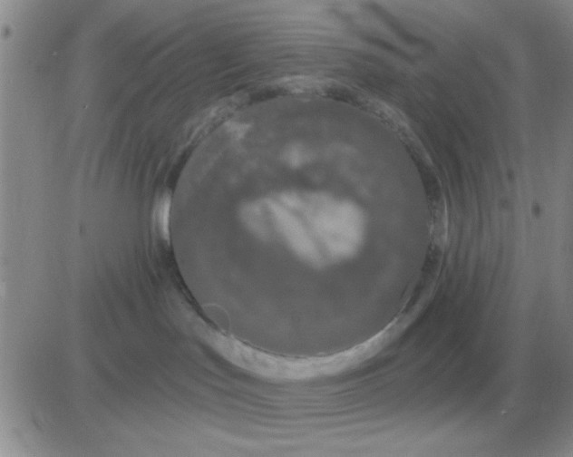 X0000081400047200701252140